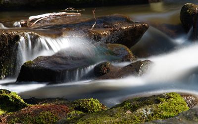 BV Cham Fotowettbewerb “Rund Um Das Wasser”